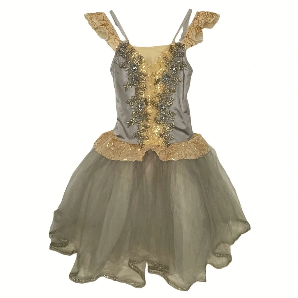 Weissman Showtime | Forgotten Dreams Elegant Ballet Tutu Dress Gray Gold, LC
